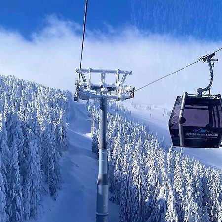Apartments Foka & Spa - 600M From Gondola Ski Lift Kopaonik Bagian luar foto