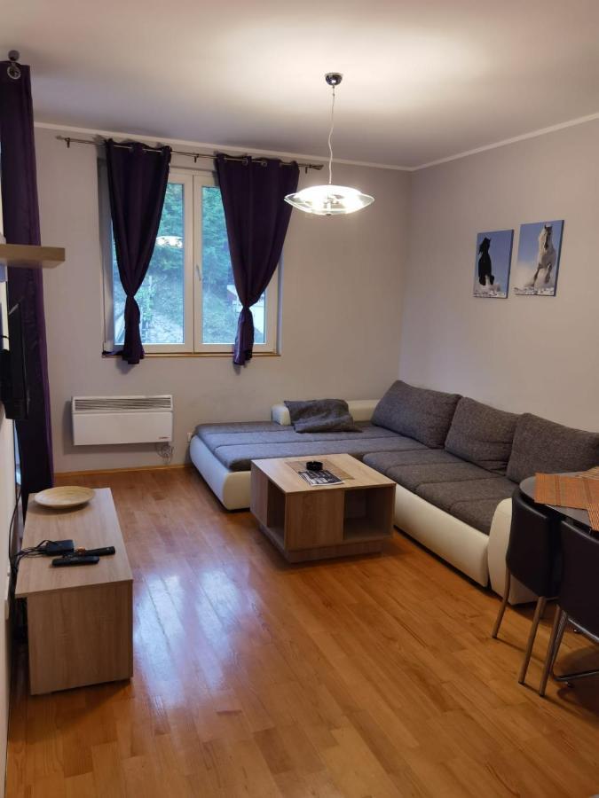 Apartments Foka & Spa - 600M From Gondola Ski Lift Kopaonik Bagian luar foto