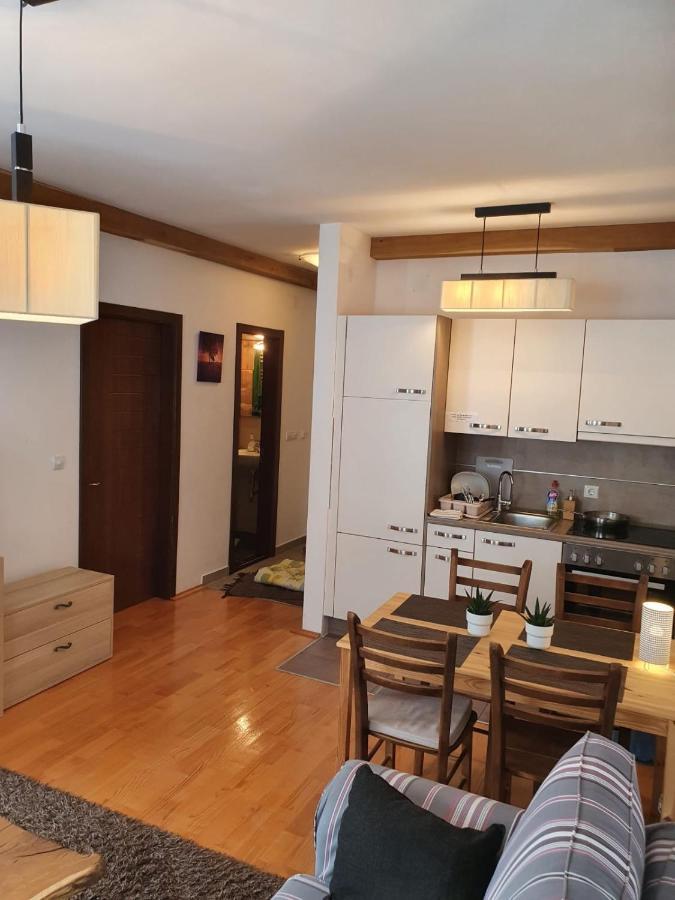 Apartments Foka & Spa - 600M From Gondola Ski Lift Kopaonik Bagian luar foto