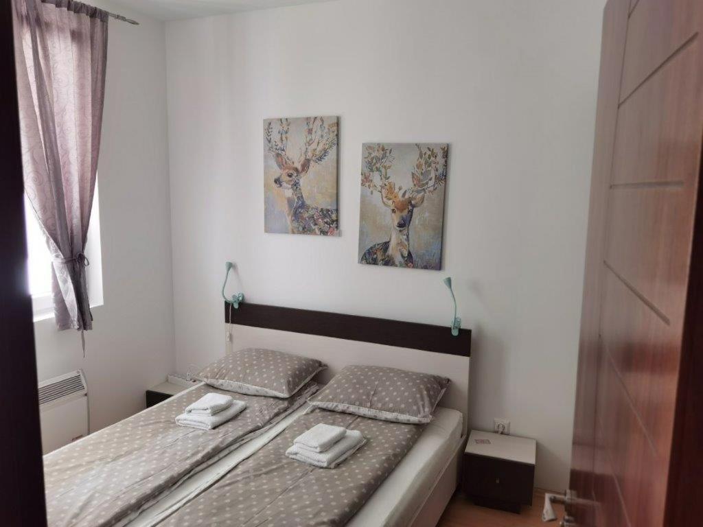 Apartments Foka & Spa - 600M From Gondola Ski Lift Kopaonik Bagian luar foto