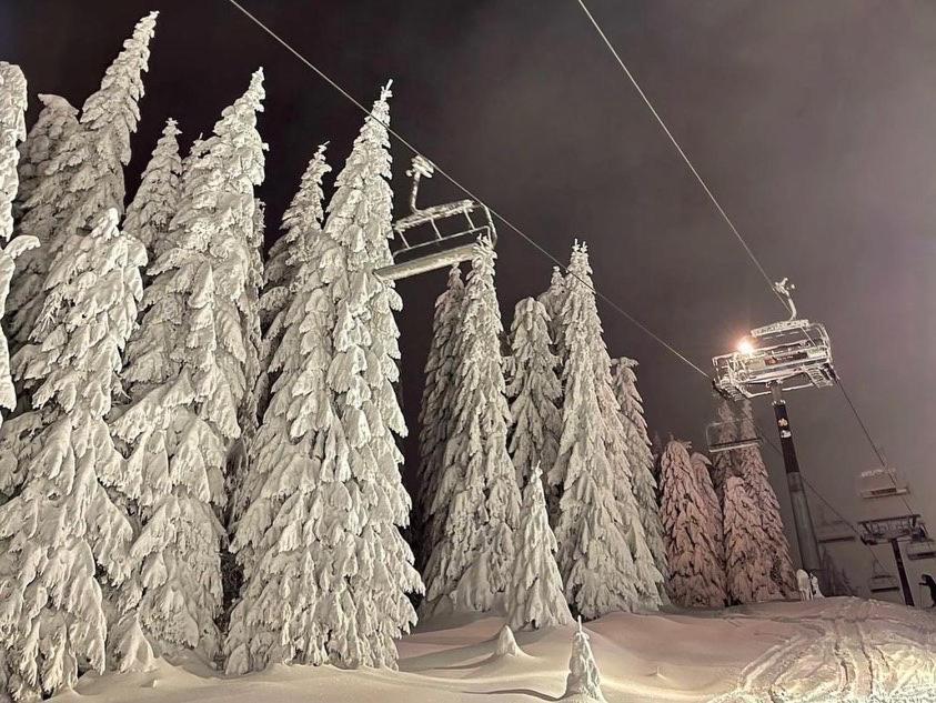 Apartments Foka & Spa - 600M From Gondola Ski Lift Kopaonik Bagian luar foto